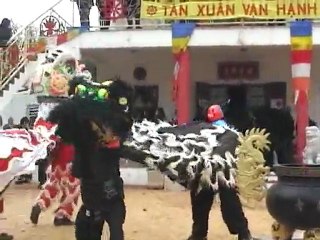 [Nam-Ho-Quyen] Fête du Têt 2010 - Danse de la Licorne à la p