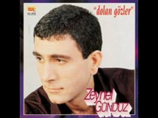 Zeynel Gündüz Dünya Dünya
