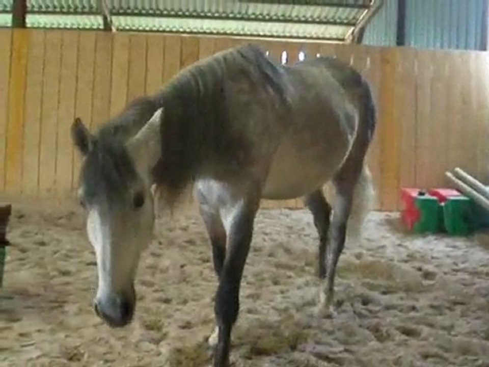 Apprentissage jambette