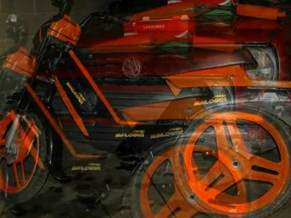 Lemmens Frederic Fox