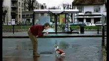 Video - humour - gag chien