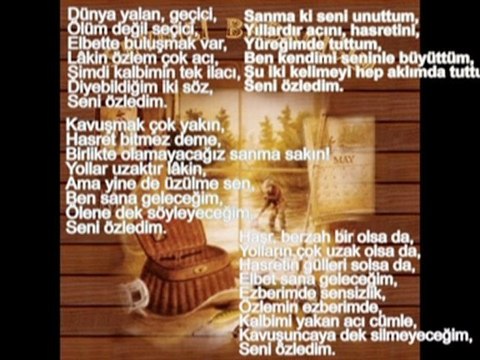 Gözlerimde yaş kalbimde sızı unutamadım seni!