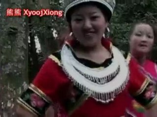 王丽来与我聊天 Lig Vaj - Koj Puas Kam Nrog Kuv Txuas Lus