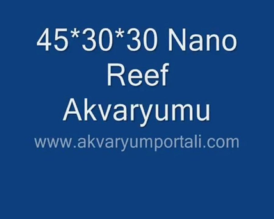 45*30*30 Nano Reef Son Hali