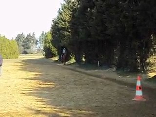 xD jme prend la branche !