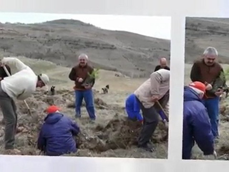 Fida Dikiminden Resimleri  2.