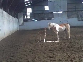 8 éme jour de vie de spirit