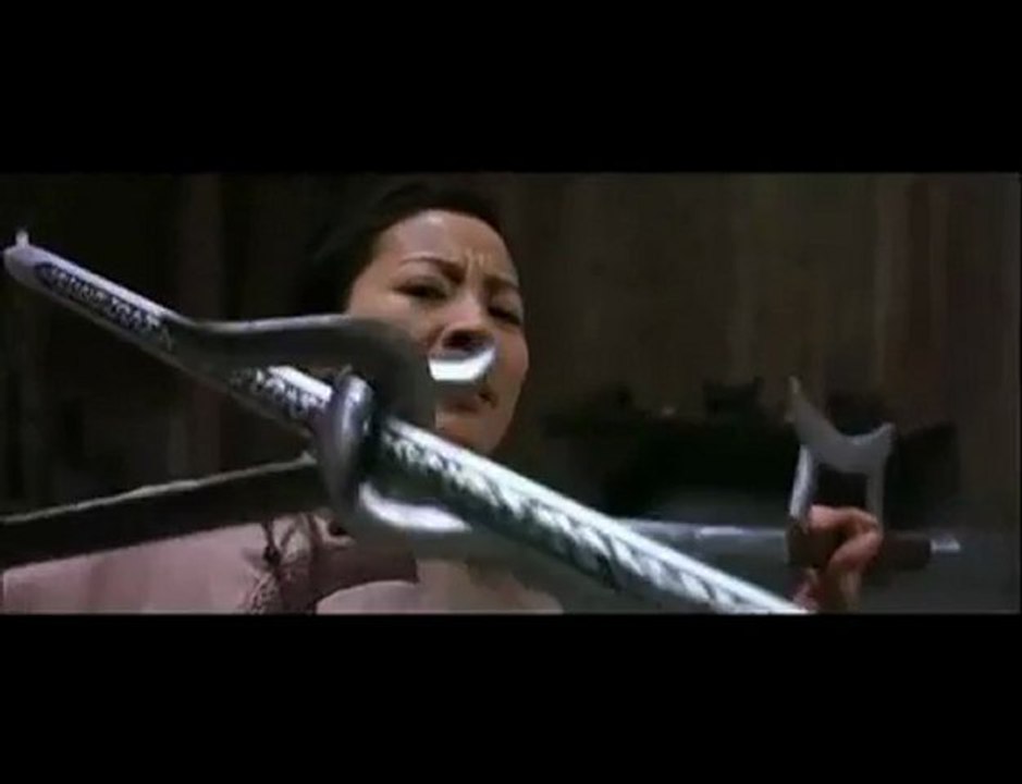 _(Ziyi_Zhang_vs._Michelle_Yeoh