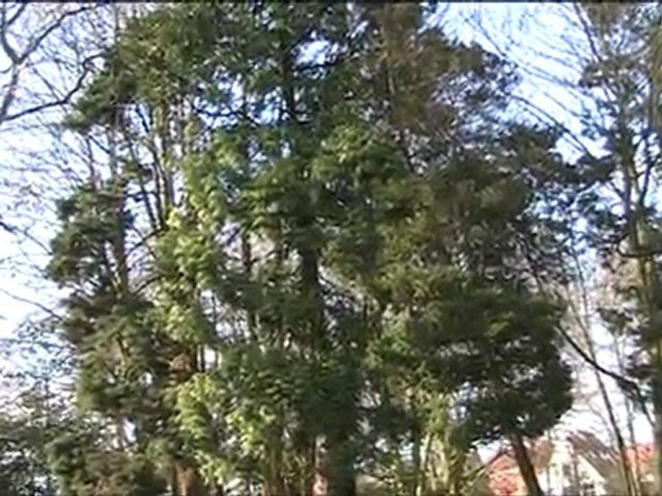 Un moment de calme à Bruges