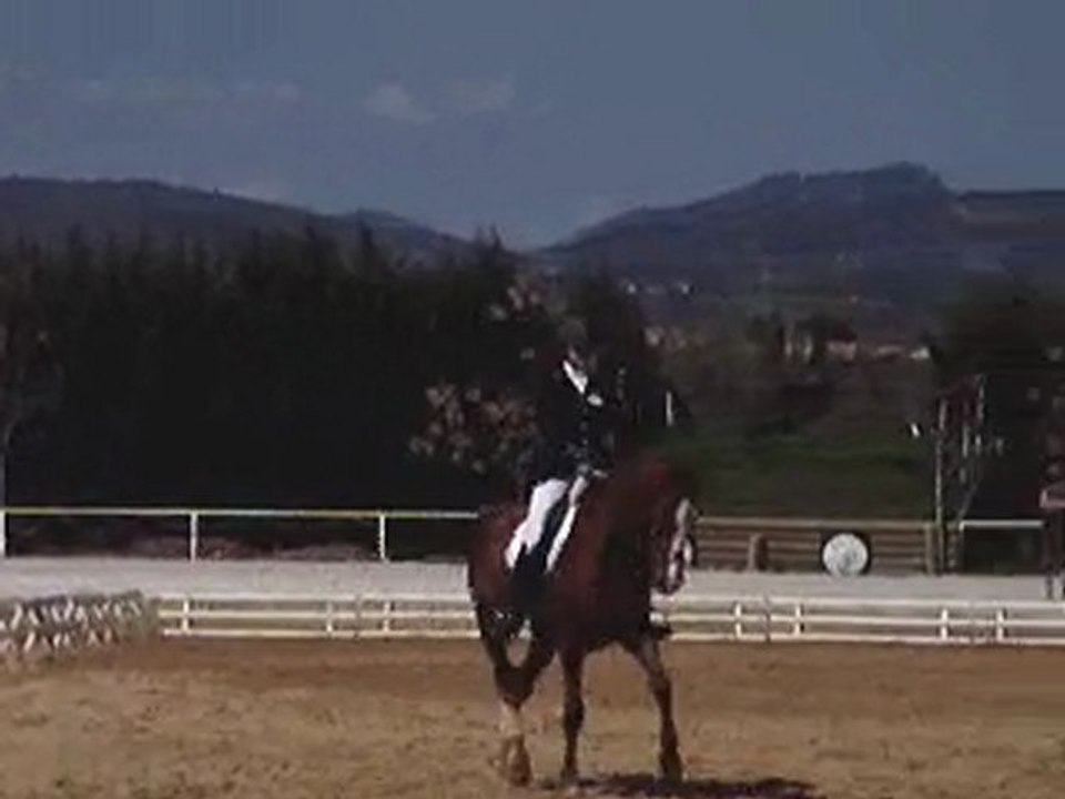 dressage le pouget