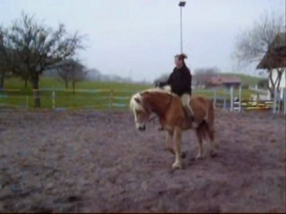 Baïla: travail au sol et à cheval