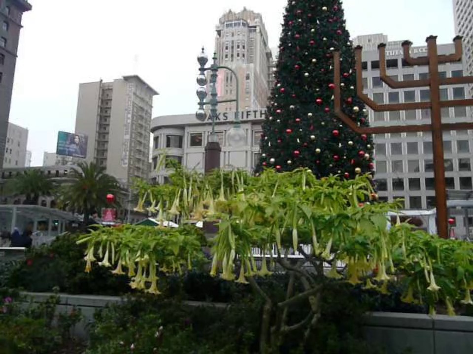 SAN FRANCISCO