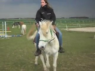 LORIOT CHEVAL DE CAMARGUE avec Angélique. SDC11337