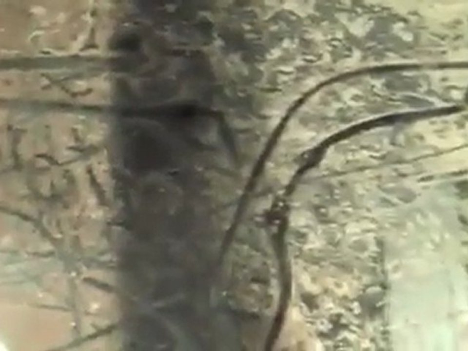 How to Set up a 220 Gallon Planted Tank with Dirt!