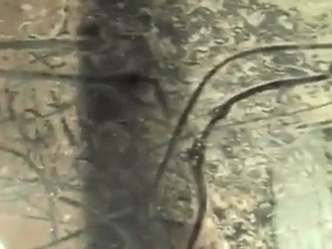 How to Set up a 220 Gallon Planted Tank with Dirt!