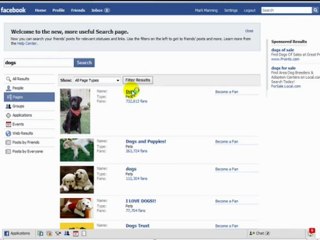 What Are Fan Pages On Facebook