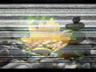 Practice Zen Meditation with iZen