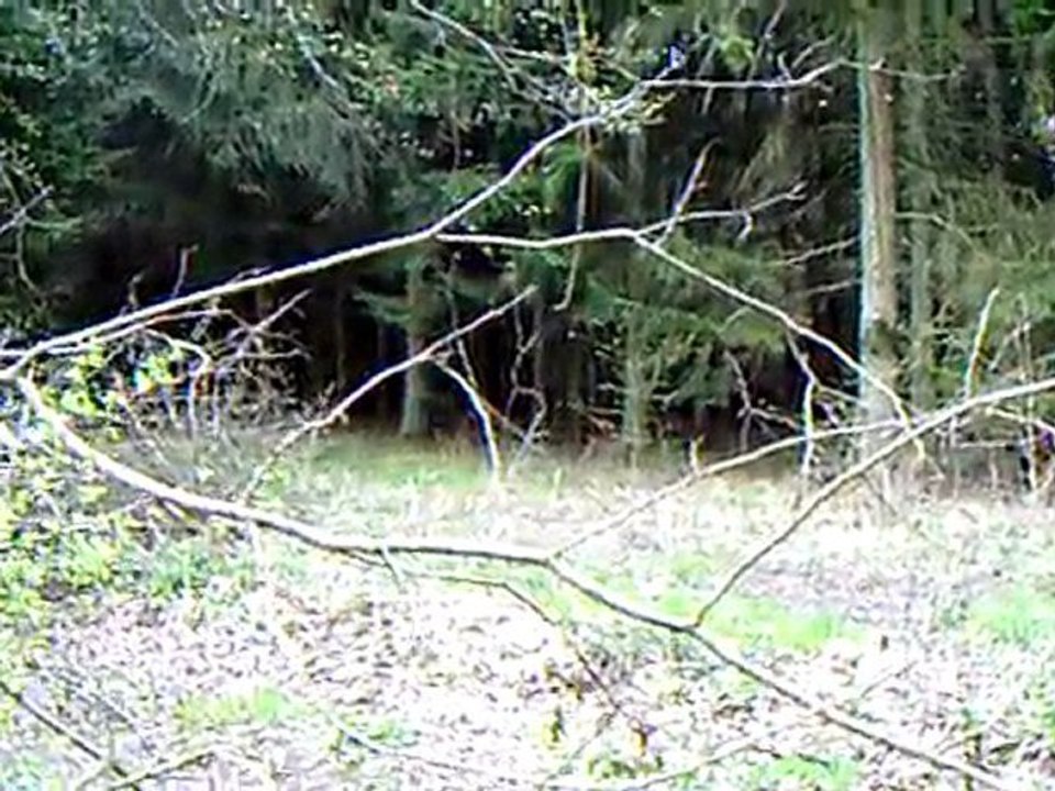 petit bourbier version TGB TARGET 325  1