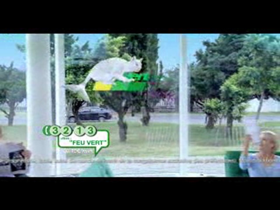 Plaques d'immatriculation + Carte grise chez Feuvert