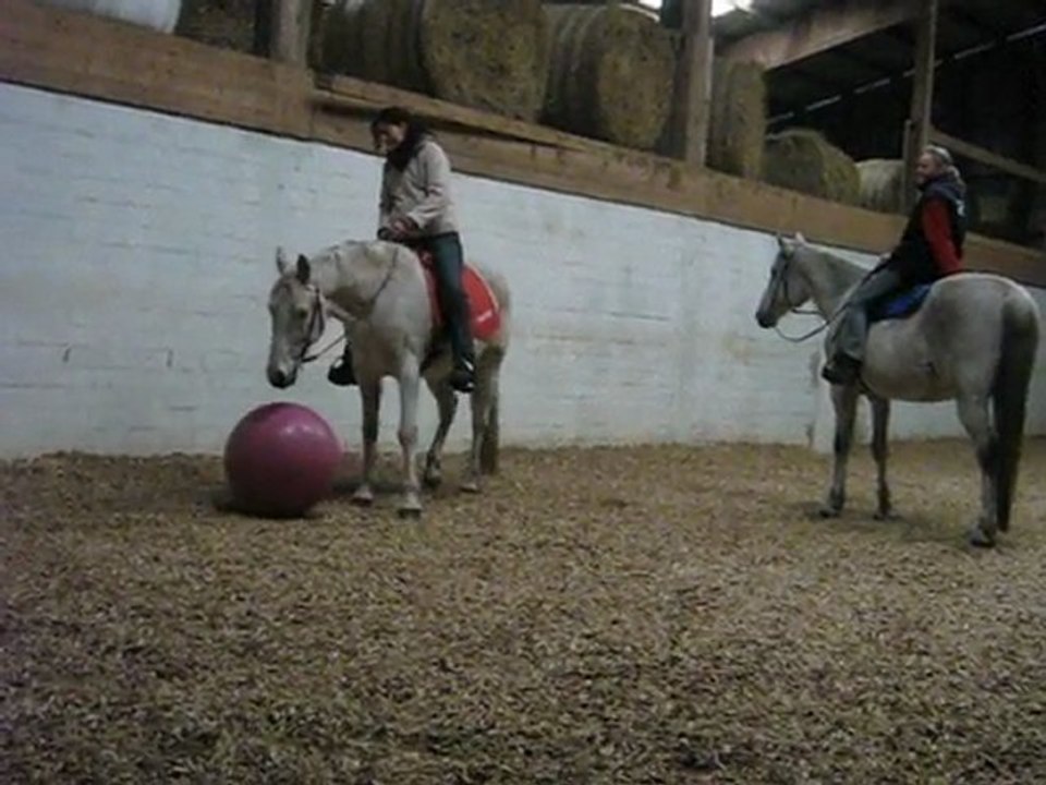 Ambro übt Ballspielen