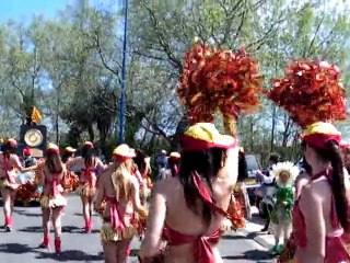 les flammes  pompom girl  : carnaval de saint cyprien 2010