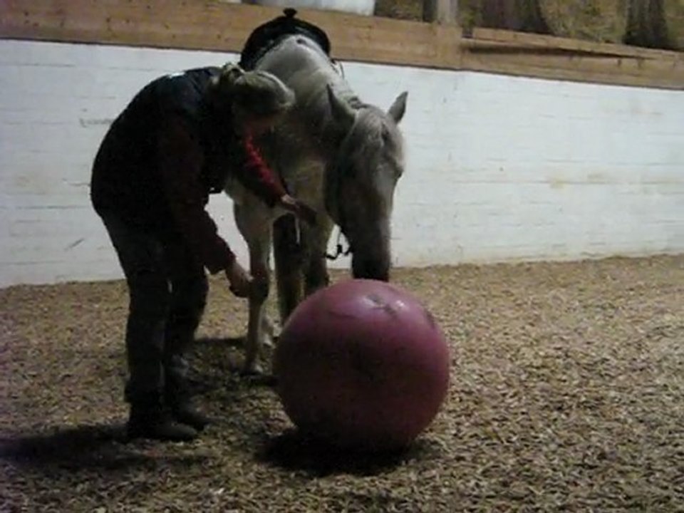 Ambro und Rigo am Ball