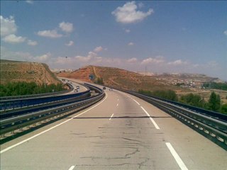 Truck Driver Man TGX