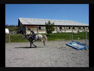 saut sirius & séquoia