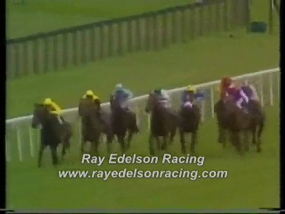 horse racing secrets