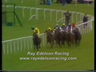 fifa world cup 2010 south africa