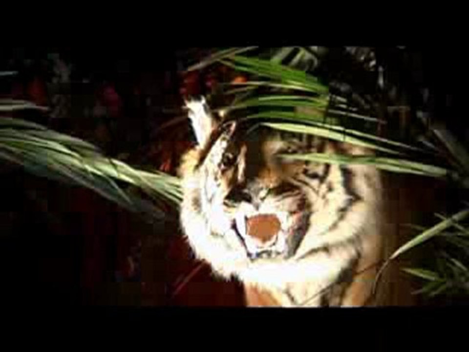 L'Inde des Maharajas à la Foire d'Angers 2010