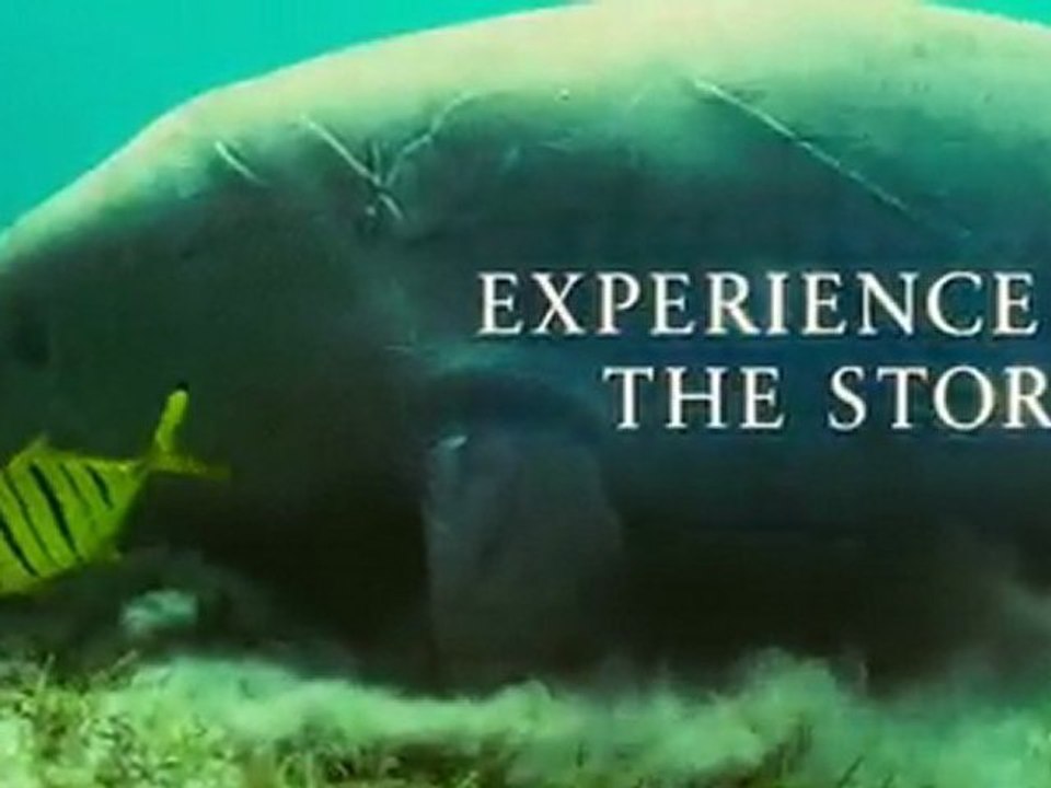 Oceans 22 aprel - Earth Day