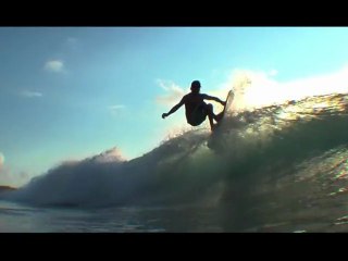 Les amis de la plage