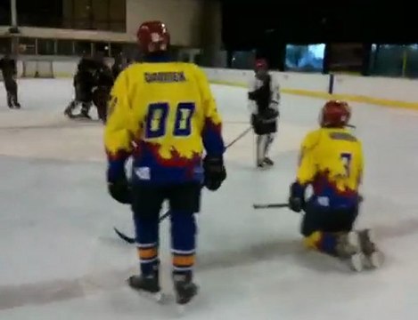 les anges de colombes