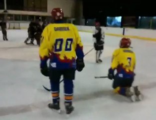 les anges de colombes