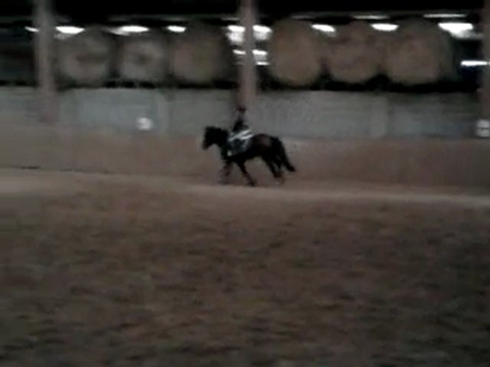 moi et malibu o galop cour du 10/04/2010