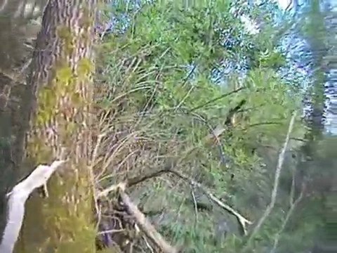 Sortie quad 10 avril 2010 Partie 1/4