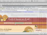 Les nouveautés d´Adobe Dreamweaver CS5 - video2brain
