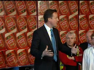 Cameron visits firms backing Tory NI plan