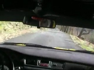 grasse alpin 2010 3e parties