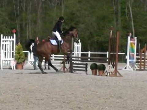 Audrey club 2cso dachs 11/04/2010