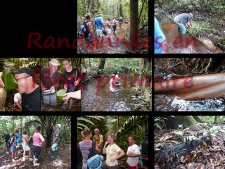 Guyane, Week-end au camp du cisame