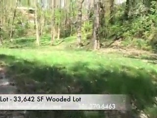 New Home in Bethesda For SAle on 33,000 sf wooded lot in Ba