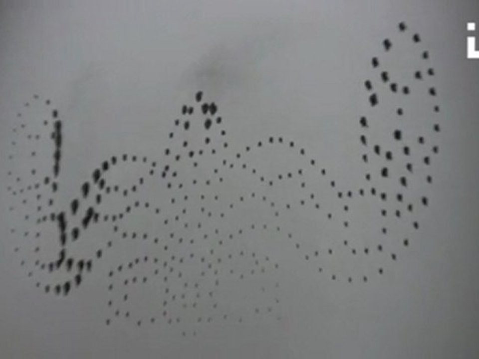 Fehér grafit in STUDIO