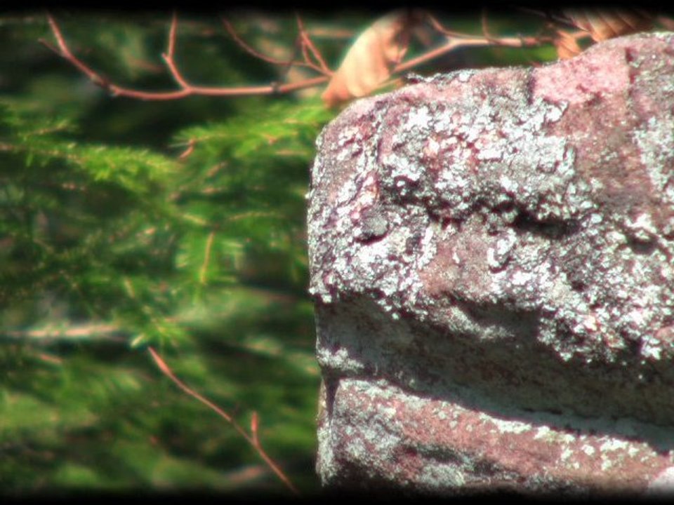 Wilkinson - FA 7B? - Fouchon (F-88)