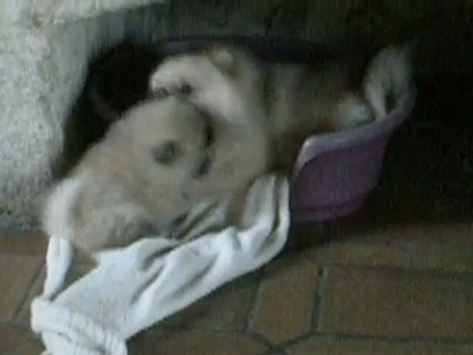 BB CHANEL JOUE MAMAN
