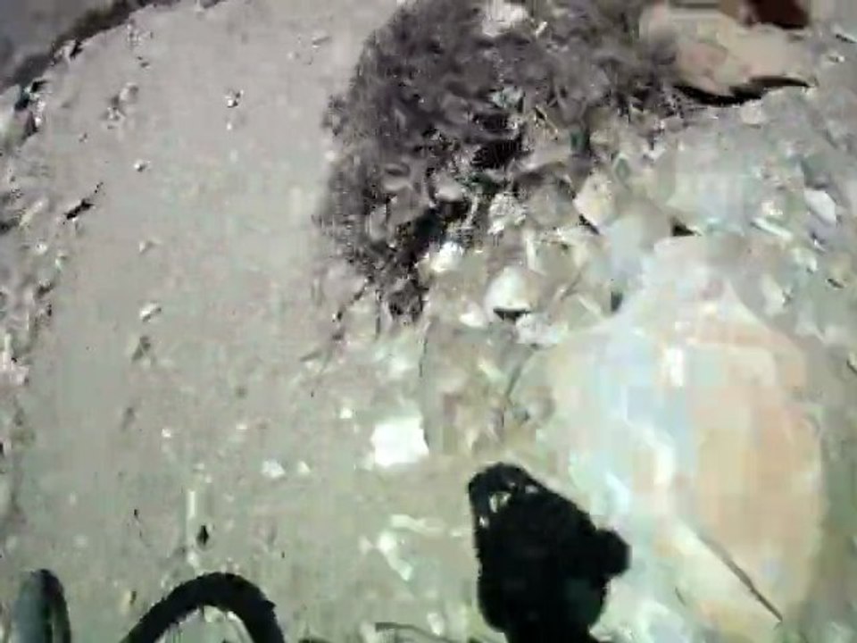 Camera Embarquée : N.Vouilloz