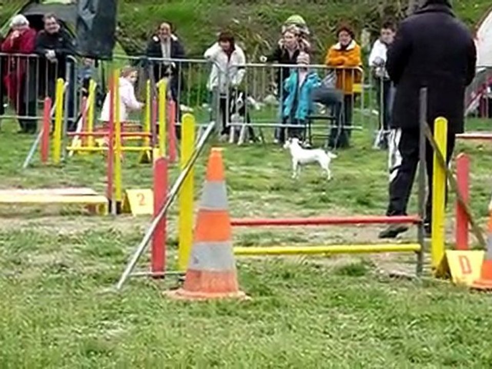 Vodka Coralie jumping