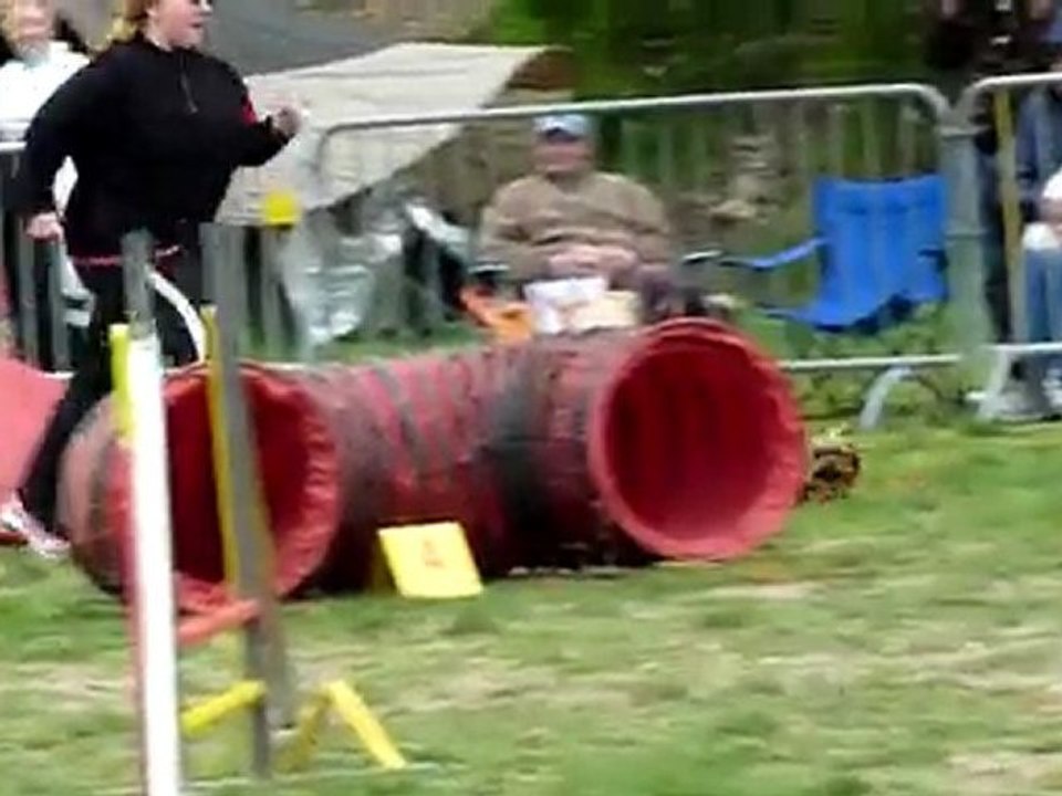 Bou jump