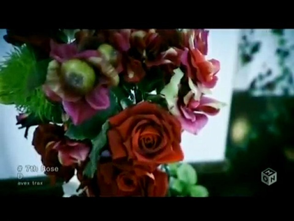 [PV] D - 7th Rose